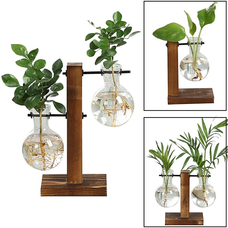 Terrarium Hydroponic Plant Vases - ROOTS FARM