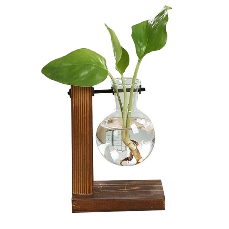 Terrarium Hydroponic Plant Vases - ROOTS FARM