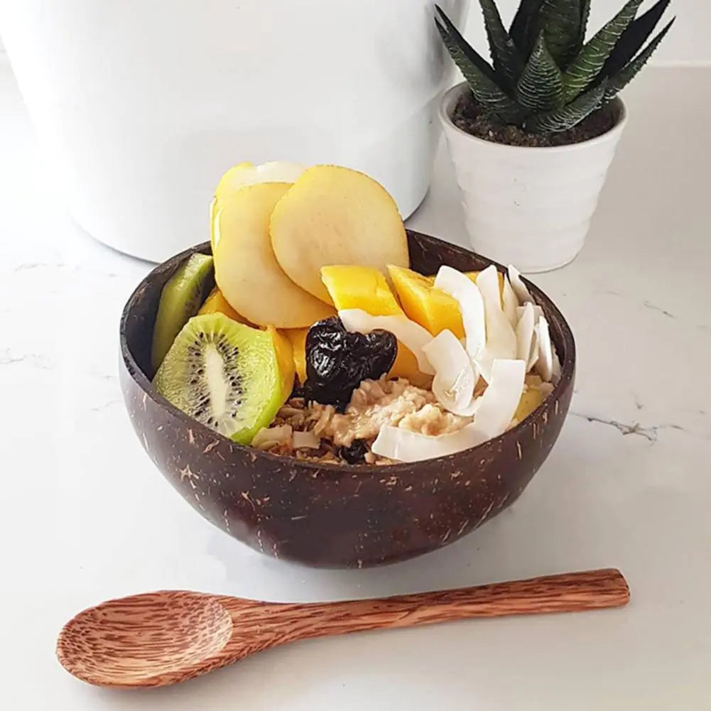 Coconut Shell Food Container Set - ROOTS FARM