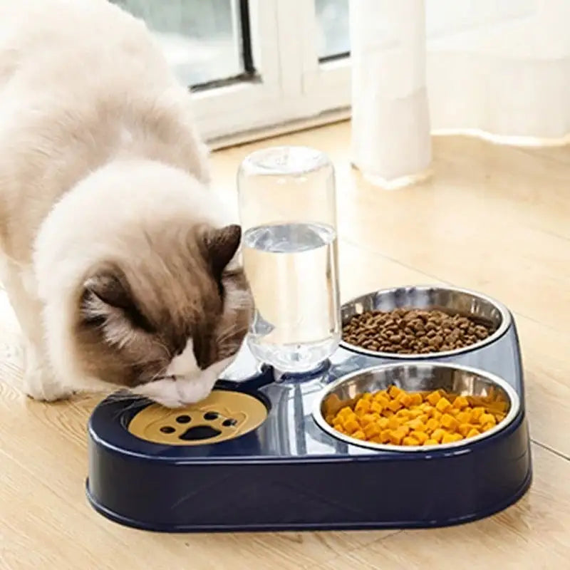 3 in 1 Pet Food Bowl with Automatic Drinking Feeder - ROOTS FARM