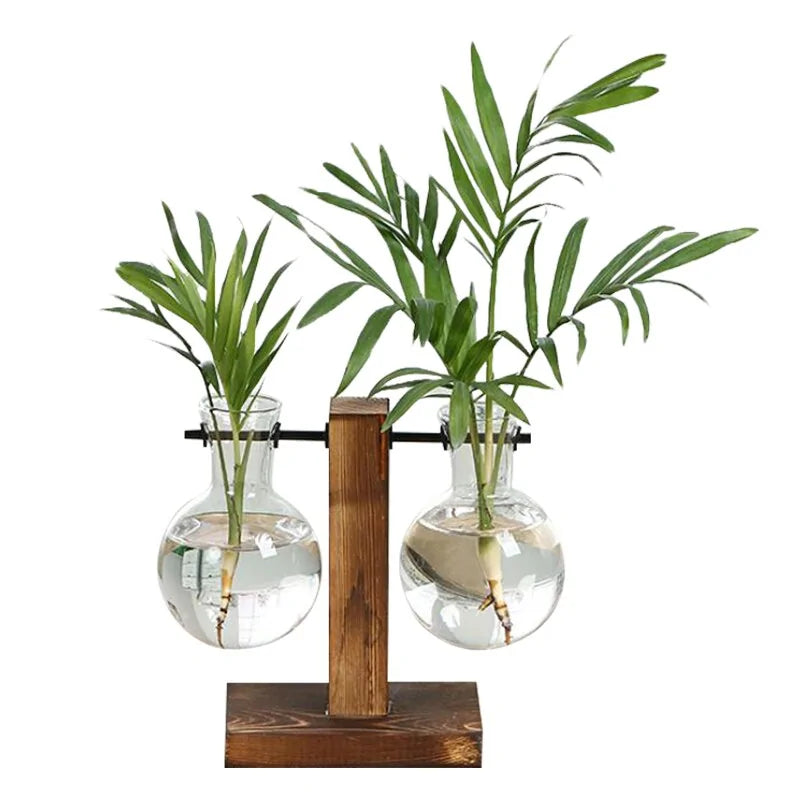 Terrarium Hydroponic Plant Vases - ROOTS FARM