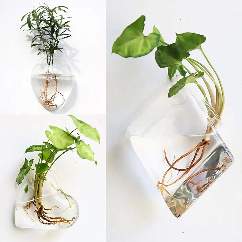 Wall Hanging Glass Vase - ROOTS FARM