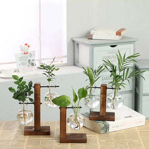 Terrarium Hydroponic Plant Vases - ROOTS FARM