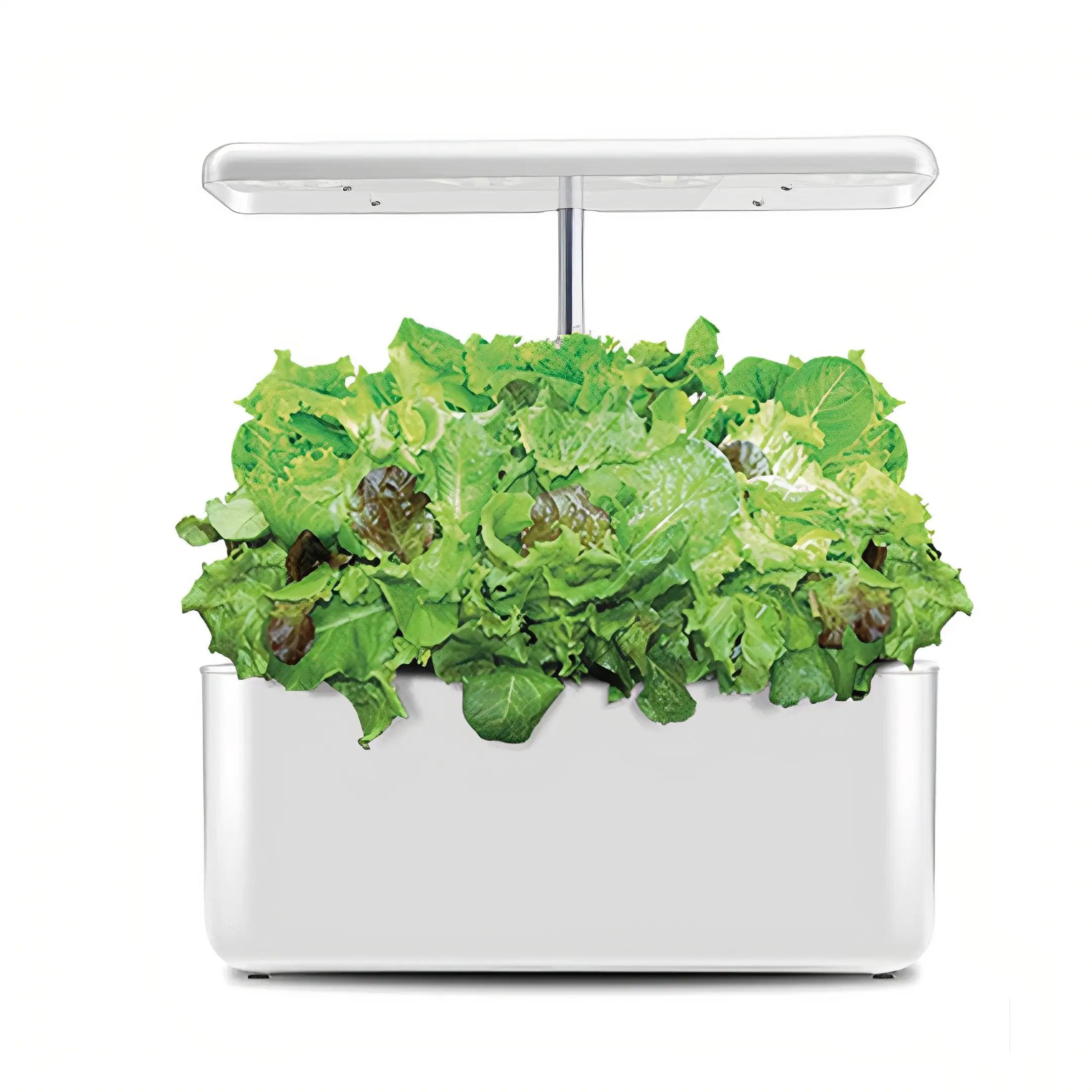 Hydro Star Hydroponic Planter: Cultivate Freshness, Simplify Gardening