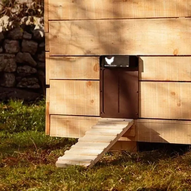 Automatic Chicken House Door