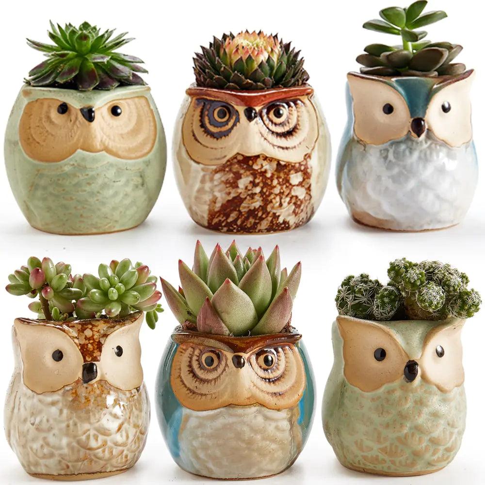 6-Piece Owl Pot Ceramic Glaze Base Set - ROOTS FARM