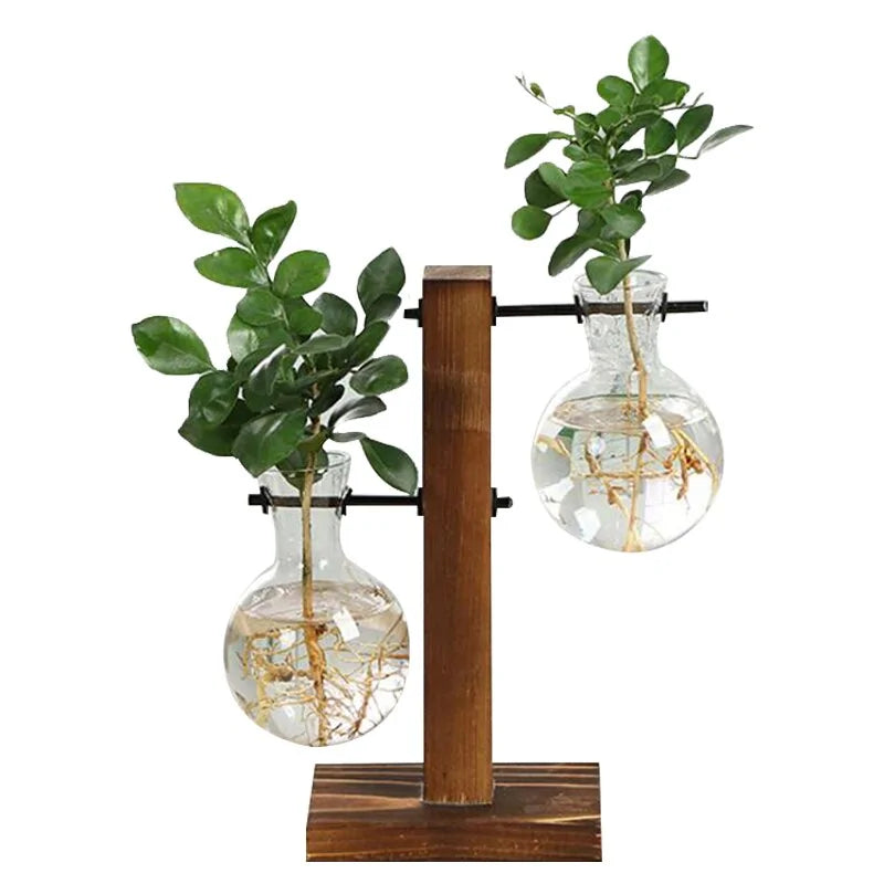 Terrarium Hydroponic Plant Vases - ROOTS FARM