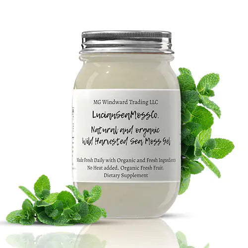 Peppermint Infused Organic Sea Moss Gel