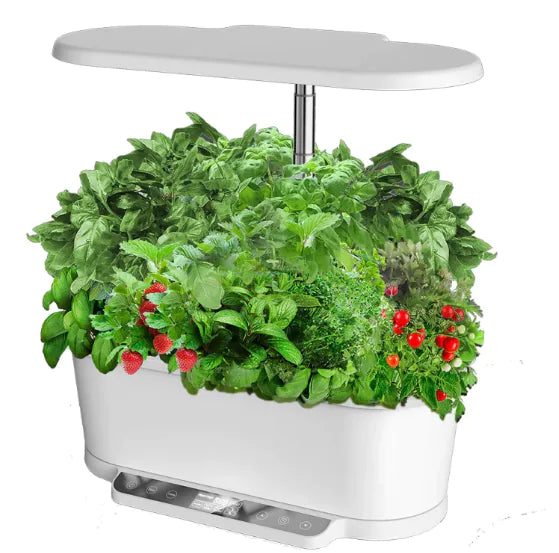 APP-Controlled Hydroponics Machine with LCD Display