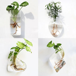 Wall Hanging Glass Vase - ROOTS FARM