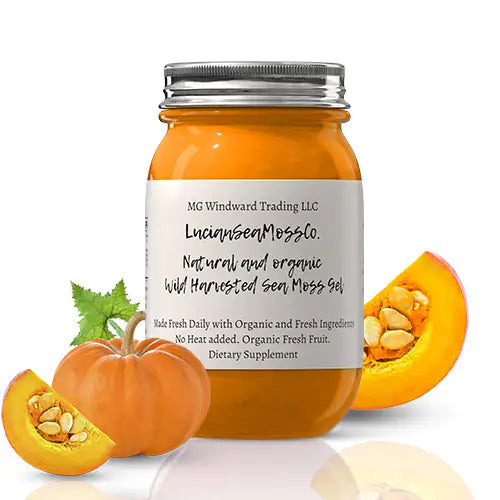 Organic Pumpkin Pie Infused Sea Moss Gel